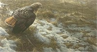 Robert Bateman (1930), Spring Thaw Red Tailed Hawk