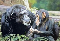 Dylan Scott Pierce, Chimpanzees, 2003