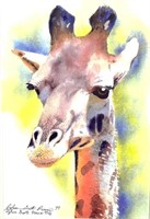Dylan Scott Pierce, Giraffe, 1999