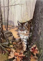 Donna Dellaganna, Toy Creek Bobcat, 1994