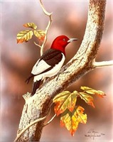 Ronald Louque, Red Headed Woodpecker