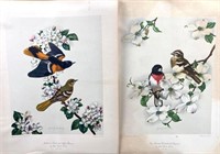James Gordon Irving, Bird Prints 204 and 207, 1950