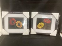 Matching Flower Pictures,Front & Back,17" by 15”