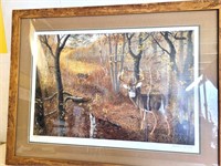 White Tail Deer Print by James E. Kennedy