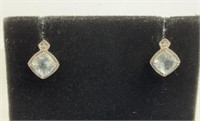 2g 14k White Gold Earrings