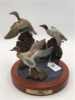 Sm. Flying Duck Decoys-Wetland Shelter by David