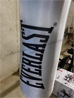 Everlast punching bag with gloves