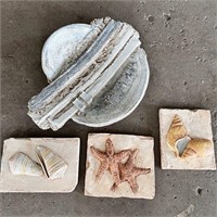 Sea Shell Décor/ Wall Décor