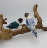 2 Blue Masked Lovebirds