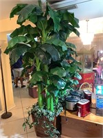 8FT TALL SILK PLANT IN PLANTER