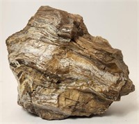 Petrified Wood - Large - 12 lbs - Heavy - Rare