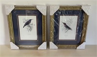 Gold Toned Framed Hummingbird Prints Sealed