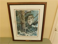 Vic Gibbons "Saw Whet" Framed Picture - 26 x 30
