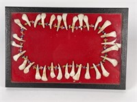 Buffalo Teeth Necklace