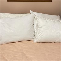 Lot of 4 Bed Pillows