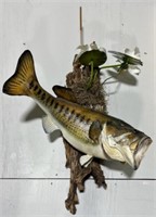 Mounted Taxidermy Largemouth Bass