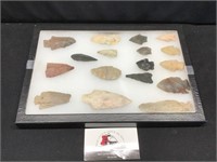 Display Case of arrowheads