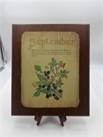 Vintage September origin on wood