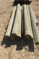 (8)- Green Treated Posts