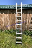 Werner Extension Ladder 20 ft. with Weather Resist