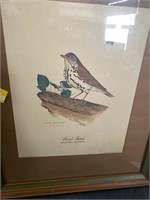 Michael James Riddle Bird Print