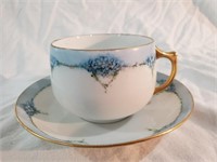 Fine China TEACUP & SAUCER from Austria