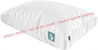 Sleepgram Queen Multi-pack Pillow Set