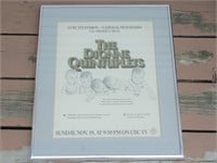 Dioone Quintuplets Poster