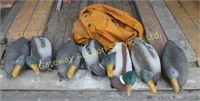 7 x Duck Decoys
