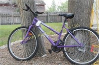Ladies Supercycle SC1800 18 Speed 17" Purple
