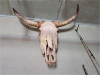 Skull, Horns