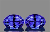 Natural Purple Blue Tanzanite Pair [Flawless-VVS]