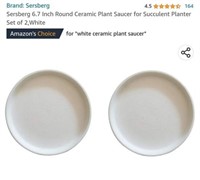 MSRP $23 Set 2 Ceramic Planter Trays
