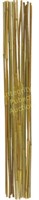 40ct Bamboo Stakes 60"