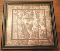 Framed Print of wolf - 21" x 21"