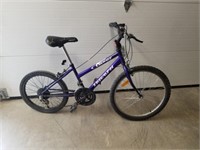 15spd Purple 20" Triumph Bike