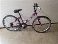 18spd Purple 22" Supercycle
