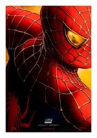 Spider-Man 2 Movie Poster 17x24