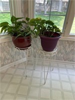 House plants with  stands