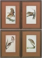SET OF 4 OWLS BY JOHN AUDUBON