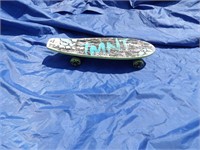 Child Size TMNT Skateboard