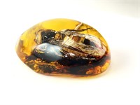 Large Amber Stone with Large Bumble Bee