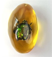 Large Amber Stone with Japanese Beetle