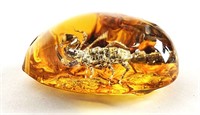 Large Amber Stone with White Scorpion