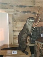 Taxidermied otter w/ trout 25" t