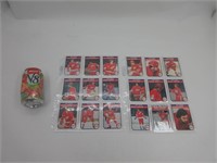 O-PEE-CHEE 1982 , 18 cartes de hockey , RED WINGS