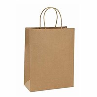 BOX OF PAPER SHOPPING BAGS