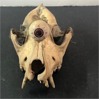 skull weird with eye see pics
