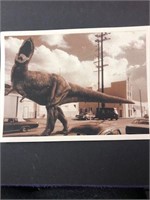 Dinosaur photo print see pic mounted 3