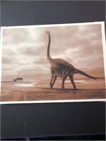 Dinosaur photo print see pic mounted 5
